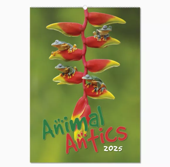 100215-animal-antics-wall-calendar-cover-wiro.png