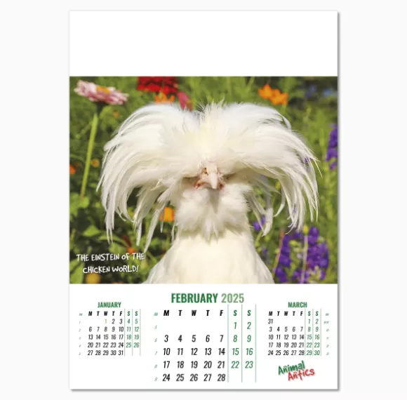 100215-animal-antics-wall-calendar-february.png