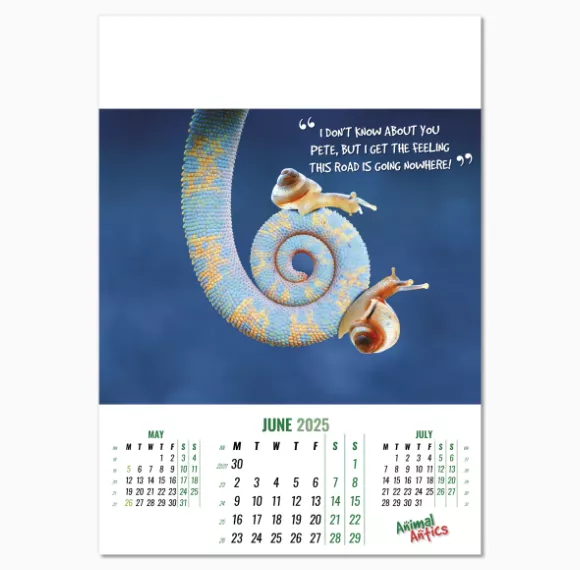 100215-animal-antics-wall-calendar-june.png