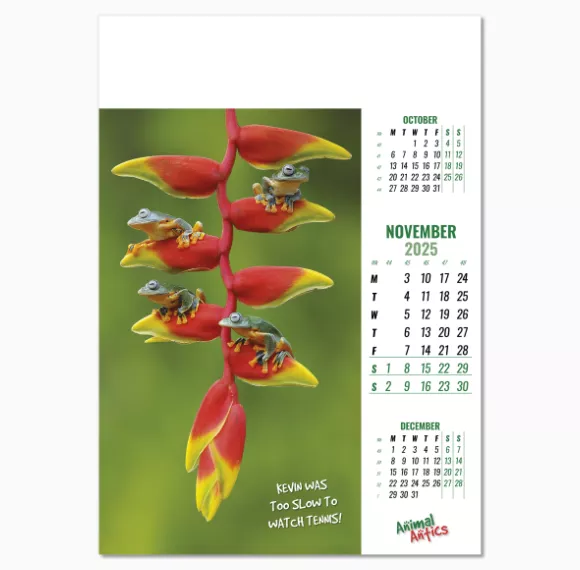 100215-animal-antics-wall-calendar-november.png