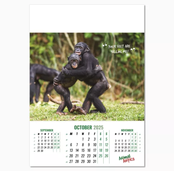 100215-animal-antics-wall-calendar-october.png