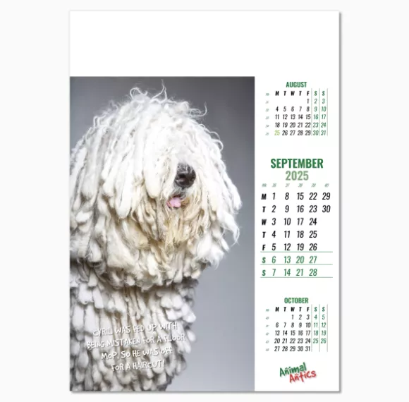 100215-animal-antics-wall-calendar-september.png