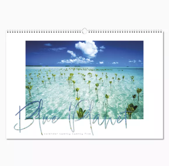 100815-blue-planet-wall-calendar-cover-wiro.png