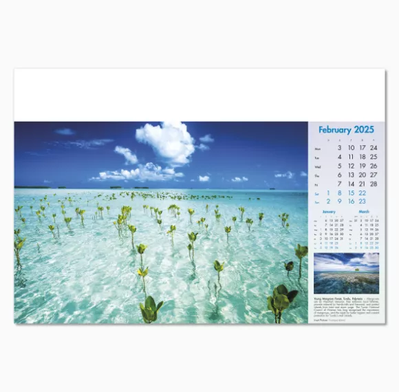 100815-blue-planet-wall-calendar-february.png