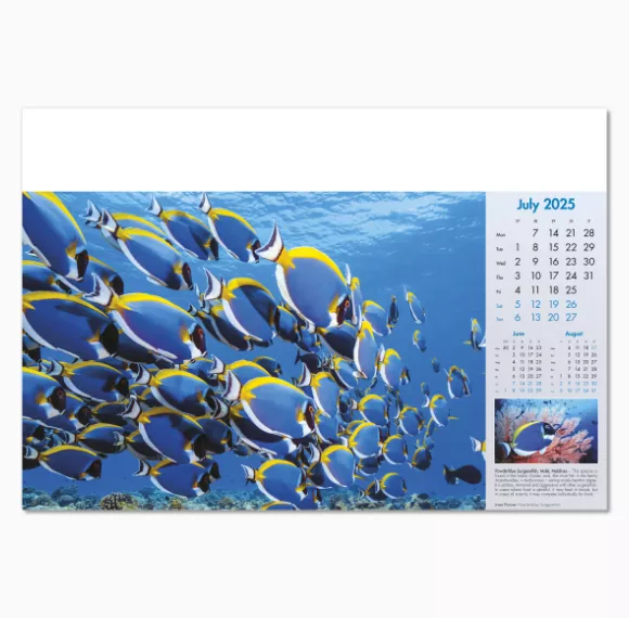 100815-blue-planet-wall-calendar-july.png