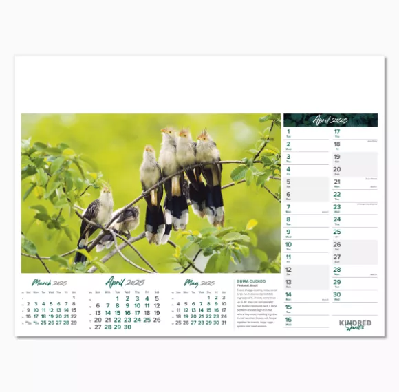 101015-kindred-spirits-wall-calendar-april.png