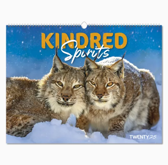 101015-kindred-spirits-wall-calendar-cover-wiro.png