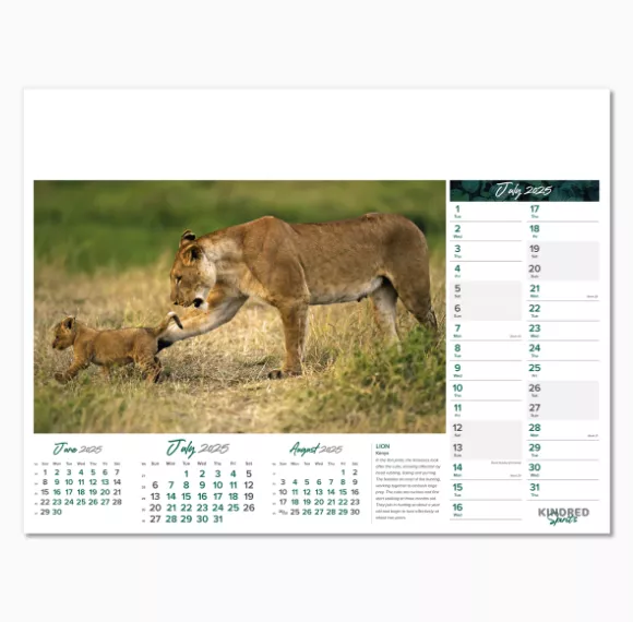 101015-kindred-spirits-wall-calendar-july.png