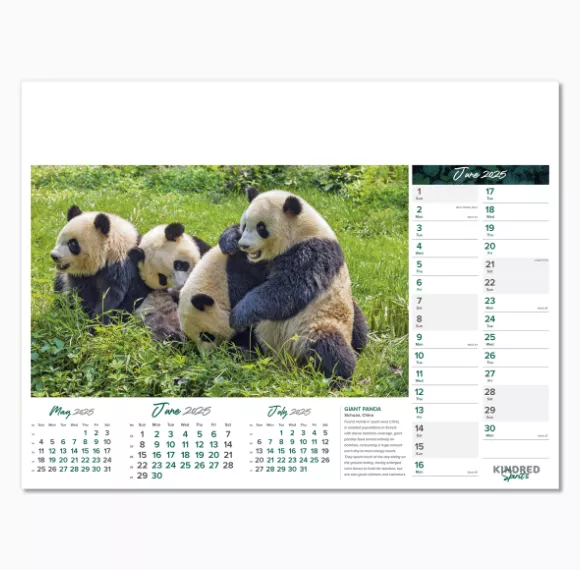 101015-kindred-spirits-wall-calendar-june.png