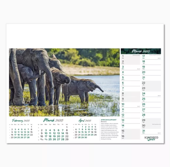 101015-kindred-spirits-wall-calendar-march.png