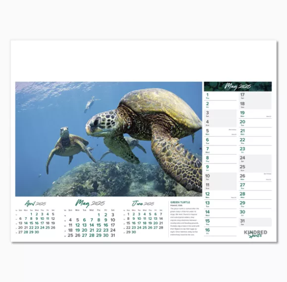 101015-kindred-spirits-wall-calendar-may.png