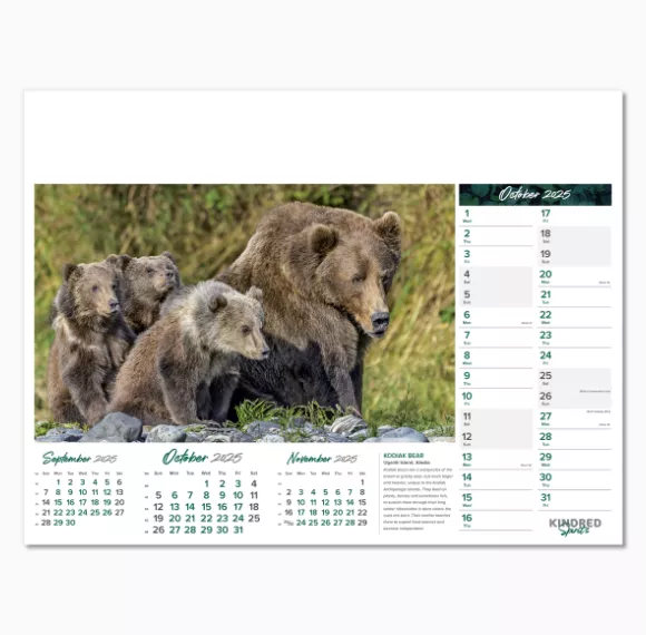 101015-kindred-spirits-wall-calendar-october.png