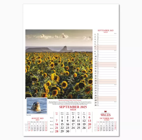 102715-discovering-wales-wall-calendar-september.png