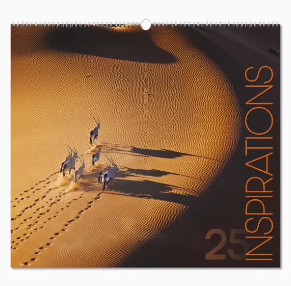 105115-inspirations-wall-calendar-cover-wiro.png