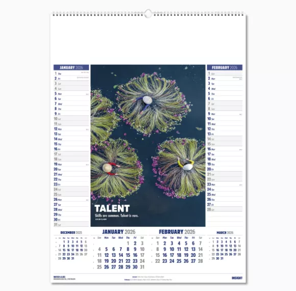 106615-insight-wall-calendar-jan-feb.png