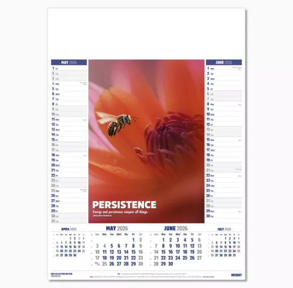 106615-insight-wall-calendar-may-jun.png