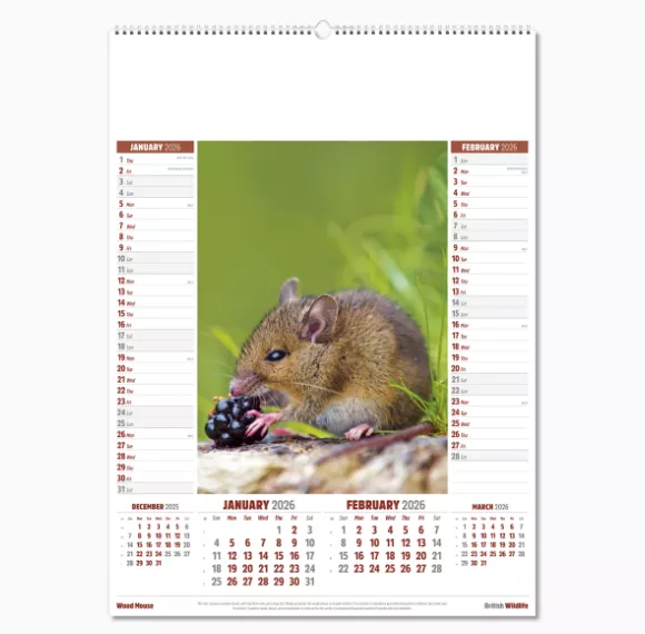 106915-british-wildlife-wall-calendar-jan-feb.png