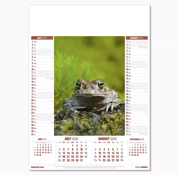106915-british-wildlife-wall-calendar-jul-aug.png