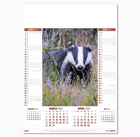 106915-british-wildlife-wall-calendar-mar-apr.png