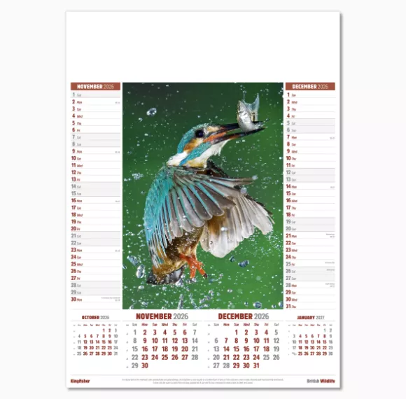 106915-british-wildlife-wall-calendar-nov-dec.png