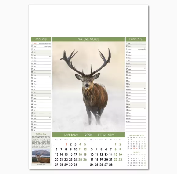 106915-nature-notes-wall-calendar-jan-feb.png