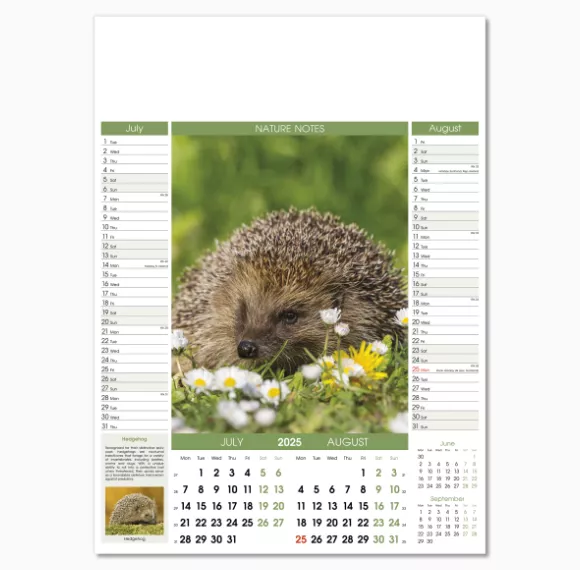 106915-nature-notes-wall-calendar-jul-aug.png