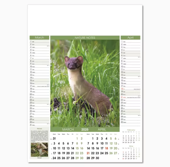 106915-nature-notes-wall-calendar-mar-apr.png