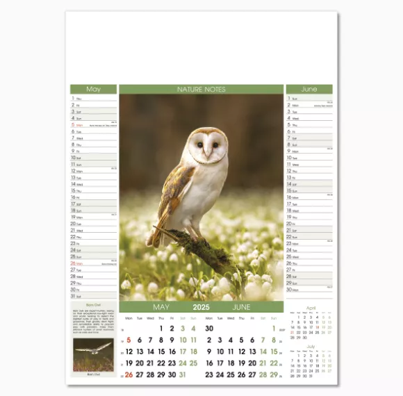 106915-nature-notes-wall-calendar-may-jun.png