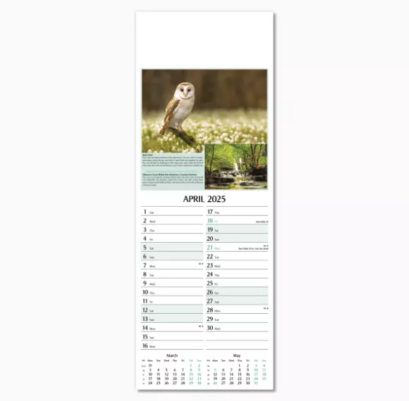 107215-natures-glory-wall-calendar-april.png