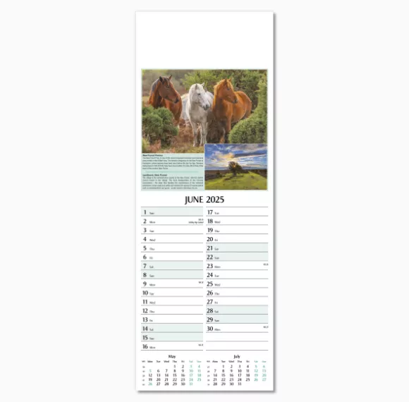 107215-natures-glory-wall-calendar-june.png