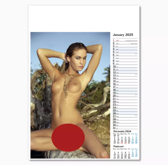 107415-nice-and-naughty-wall-calendar-january.png