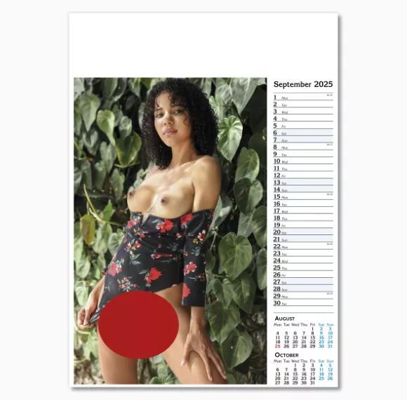 107415-nice-and-naughty-wall-calendar-september.png