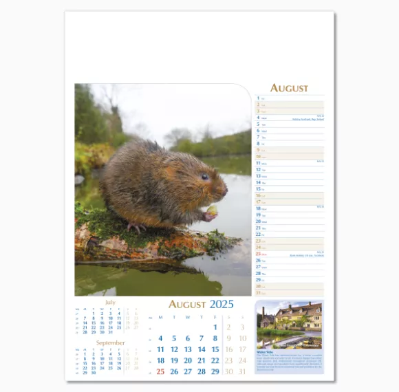 107715-notable-wildlife-wall-calendar-august.png