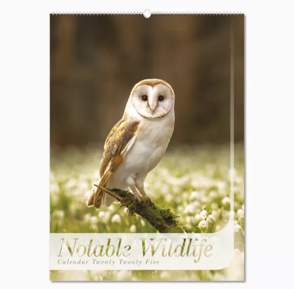 107715-notable-wildlife-wall-calendar-cover-wiro.png