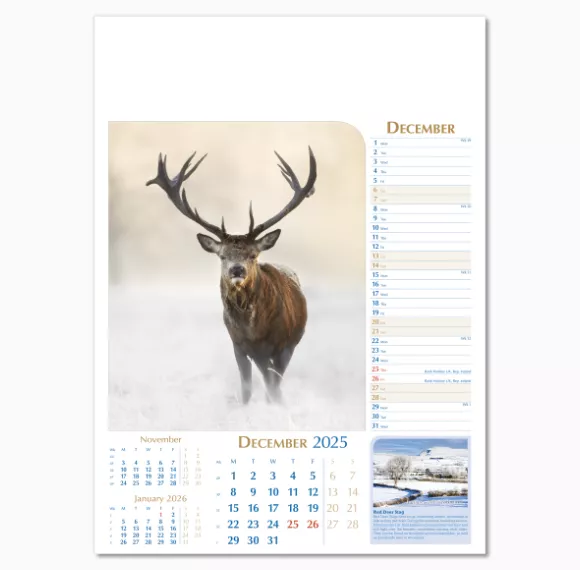 107715-notable-wildlife-wall-calendar-december.png