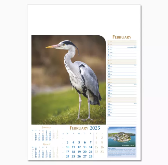 107715-notable-wildlife-wall-calendar-february.png