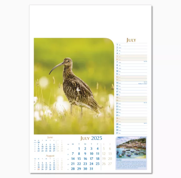 107715-notable-wildlife-wall-calendar-july.png