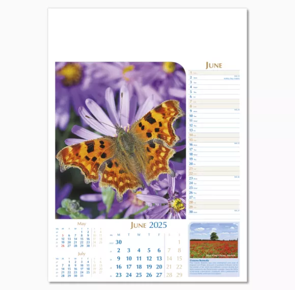 107715-notable-wildlife-wall-calendar-june.png