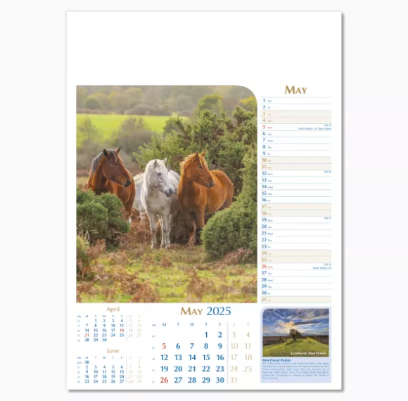 107715-notable-wildlife-wall-calendar-may.png