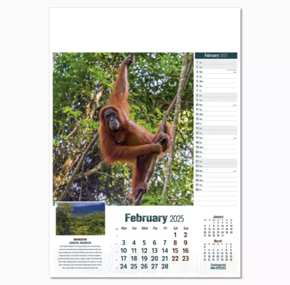 110315-endangered-species-wall-calendar-february.png