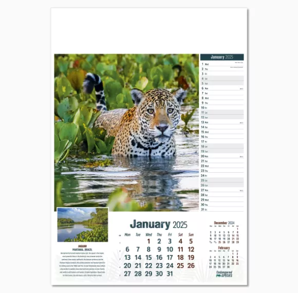 110315-endangered-species-wall-calendar-january.png