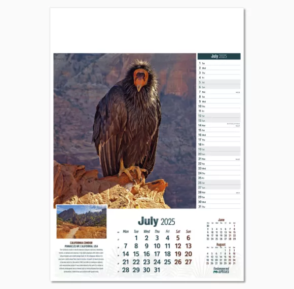 110315-endangered-species-wall-calendar-july.png