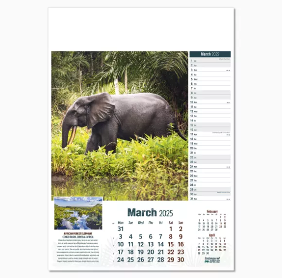 110315-endangered-species-wall-calendar-march.png