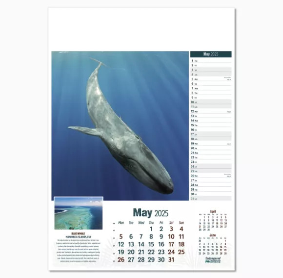 110315-endangered-species-wall-calendar-may.png