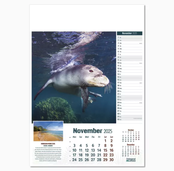 110315-endangered-species-wall-calendar-november.png