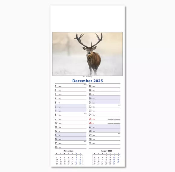 110415-wildlife-wall-calendar-december.png