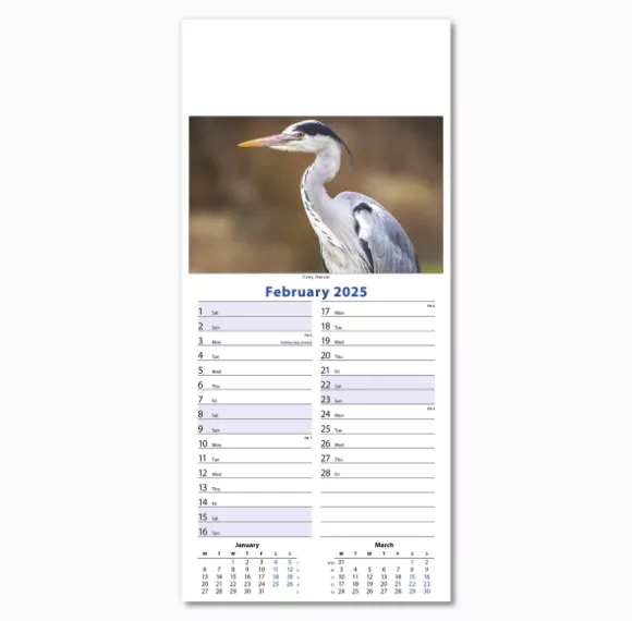 110415-wildlife-wall-calendar-february.png