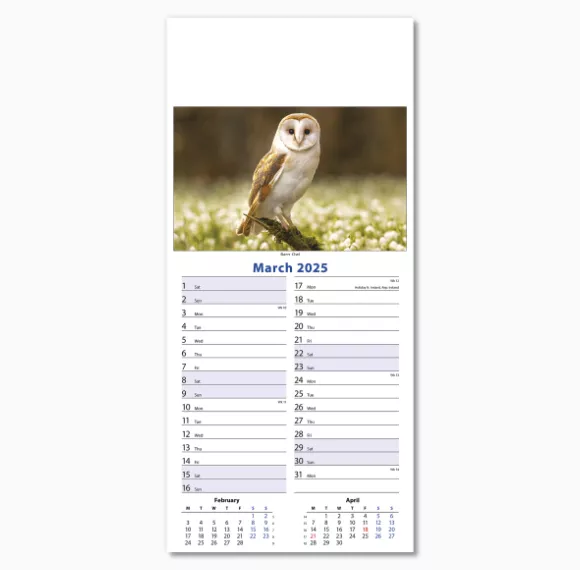 110415-wildlife-wall-calendar-march.png