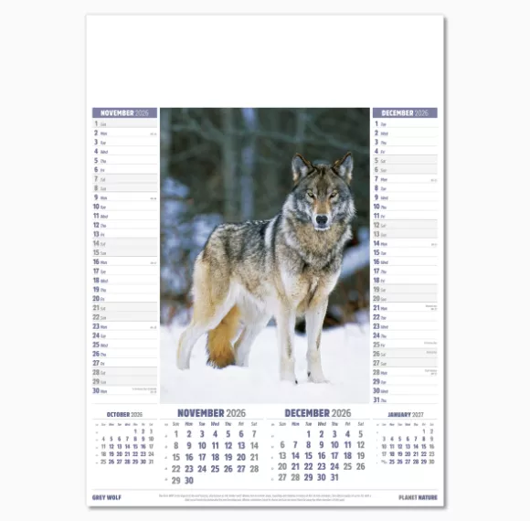 110815-planet-nature-wall-calendar-nov-dec.png