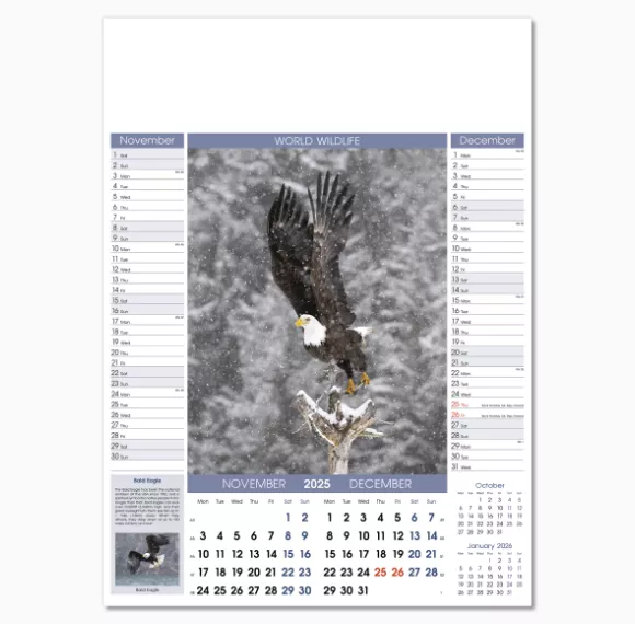 110815-world-wildlife-wall-calendar-nov-dec.png